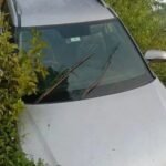 WhatsApp-Image-2024-10-27-at-3.20.01-PM