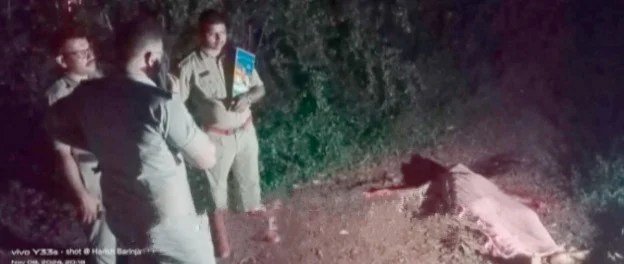 WhatsApp-Image-2024-11-09-at-9.03.35-AM