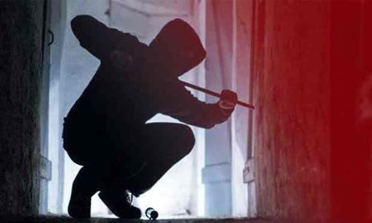 ಹಗಲೇ-ಕಳ್ಳತನ