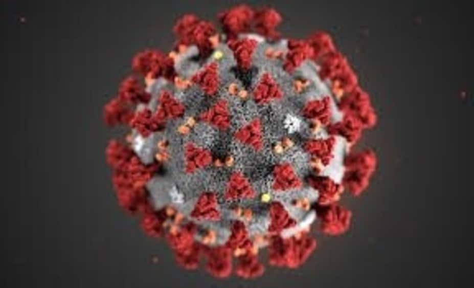 Coronavirus_1747998949766_1747998955571