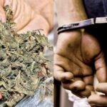 ganja-arrested-1725884749